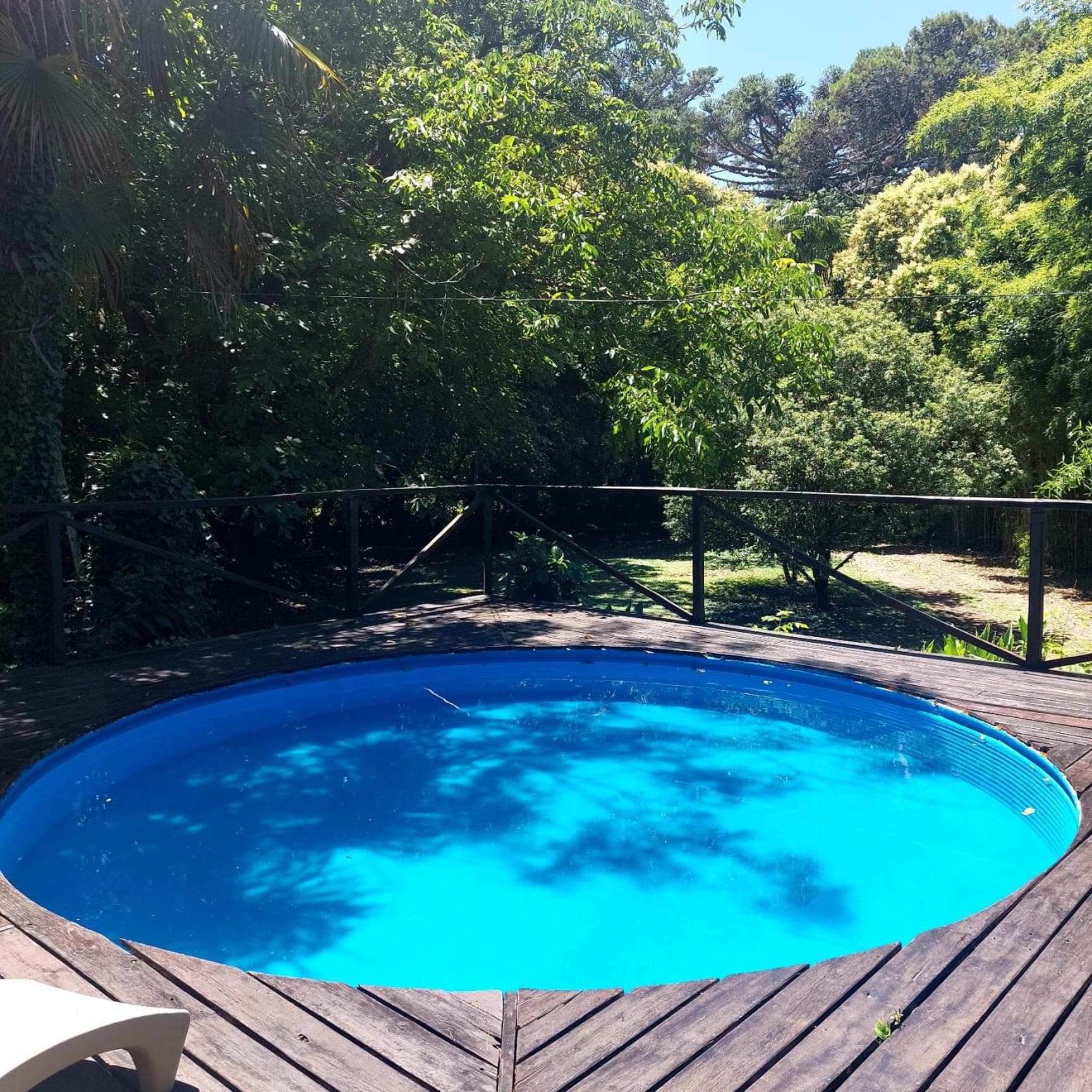 Arturo Seguí, Argentina