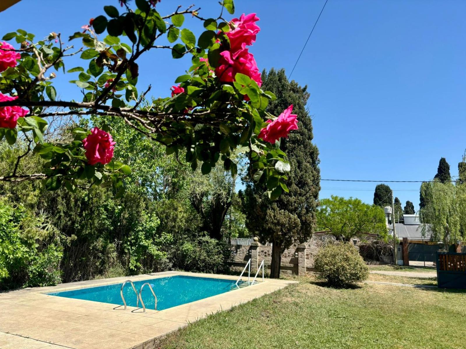 Laguna de Gomez, Argentina
