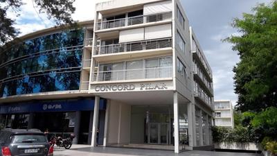 Concord Pilar Suite Almendros