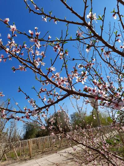 Entre viñas, sol y montañas