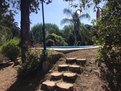 El Jacaranda 2 - Complejo