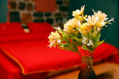 Onoyi Tun Guest House