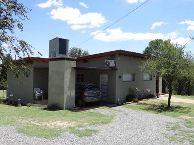 El algarrobo escondido