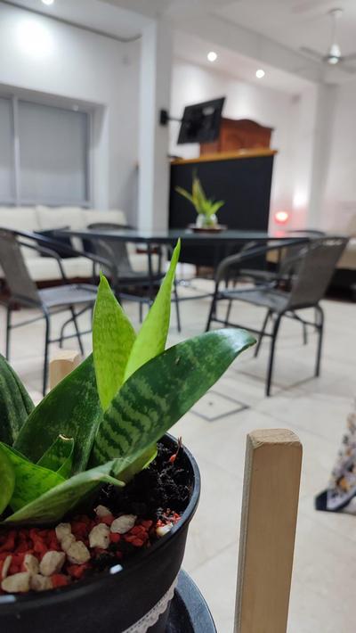 Departamento temporario Banda para 4 personas a 5 min del estadio madre de ciudades y del nodo tecnologico