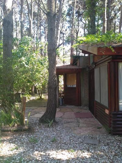 Cabaña Lemu Unku, El Pinar -6 personas-