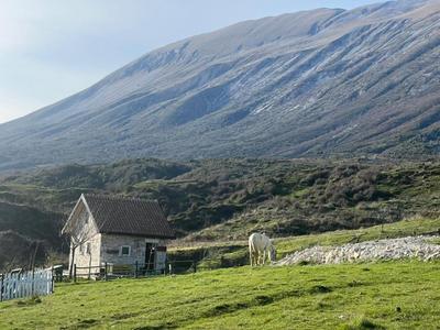 Saffron House Nivica