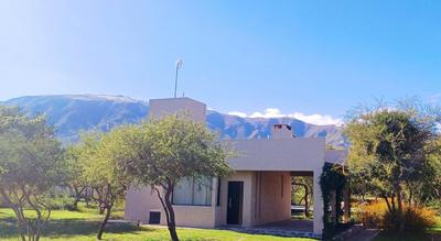 4 AVES - Exclusivo para parejas - Hornero