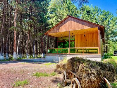 Milenium magic villa on Sevan beach