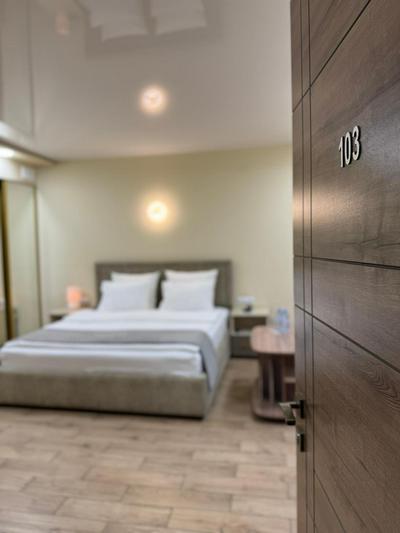 Central Hotel Gyumri