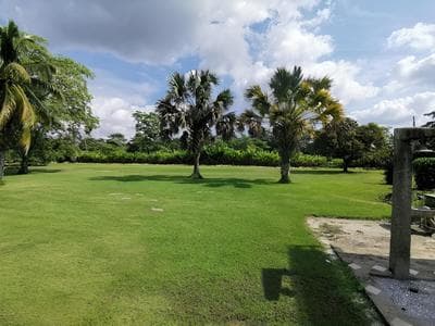 OYO Hotel Cedros & Spa