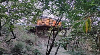 Loft Tree House 1 by Kivoya