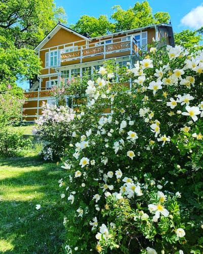 Beautiful lake view house