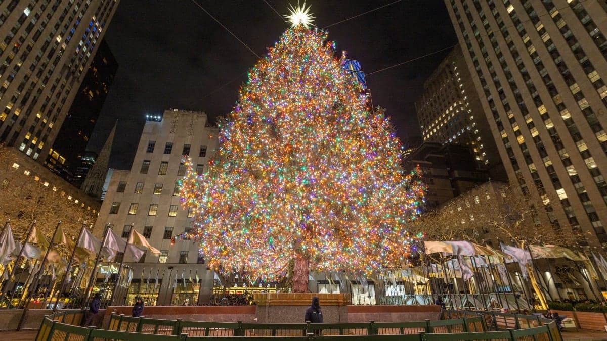 The Rockefeller Center Christmas tree lit up at night between the Midtown towers