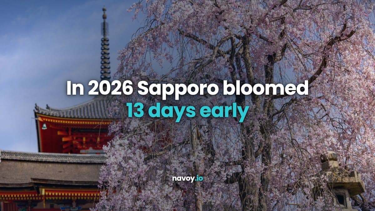 Cherry blossoms in full bloom beside the red pagoda at Kiyomizu-dera temple in Kyoto under a blue spring sky