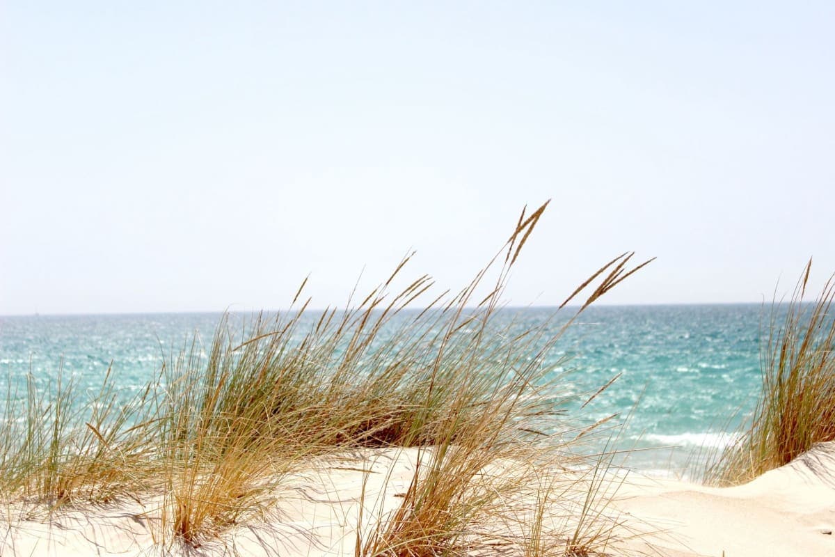Sand dunes and beach grass above the turquoise sea at Tarifa, Spain, on a clear summer day